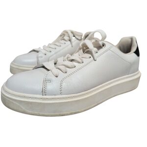 The Steve Madden Women's Catcher Sneaker Size 8